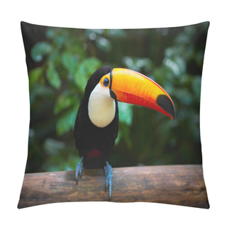 Personality  Toucan On The Branch In Tropical Forest Of Brazil Pillow Covers