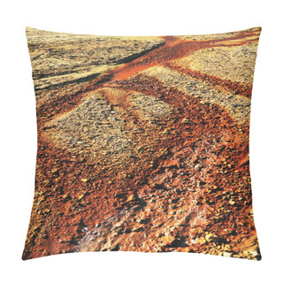 Personality  Soil Pollution Of A Copper Mine Exploitation Pillow Covers