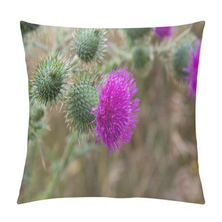 Personality  The Milk Thistle In A Meadow In Late Summer Pillow Covers