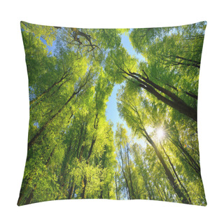 Personality  Majestic Upwards View To The Treetops In A Beech Forest With Fresh Green Foliage, Sun Rays And Clear Blue Sky Pillow Covers