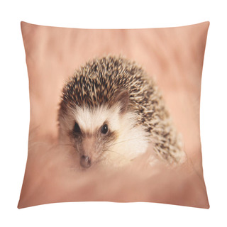 Personality  Hedgehog Sitting And Looking Ahead With Small Eyes Pillow Covers