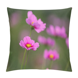 Personality   Cosmos Flowers Field Pillow Covers