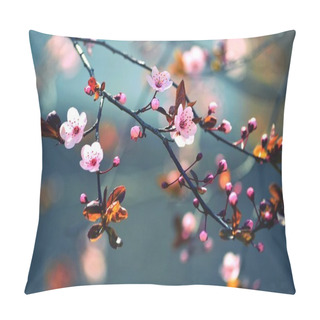 Personality  Beautiful Flowering Japanese Cherry - Sakura. Background With Flowers On A Spring Day. Pillow Covers