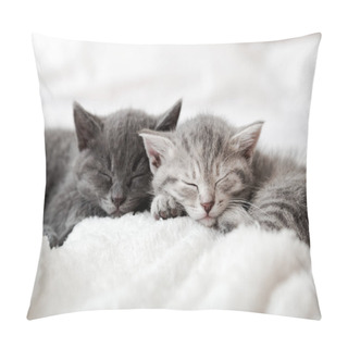 Personality  Kitten Family In Love Portrait. Adorable Kitty Noses For Valentine Day Pet Love. Couple Happy Kittens Sleep Relax Together. Cozy Home Animal Sleeping Comfortably Have Sweet Dreams. Pillow Covers