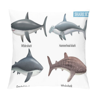 Personality  Realistic Dangerous Shark Species Icons Set Isolated Vector Illustration Pillow Covers