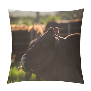 Personality  Brown Cow Muzzle Pillow Covers