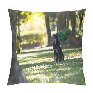 Personality  Black Dog Playing In The Green Garden Pillow Covers