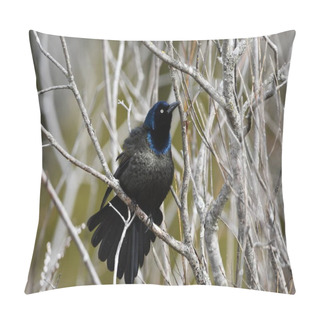 Personality  Common Grackle Perched In A Tree  Pillow Covers