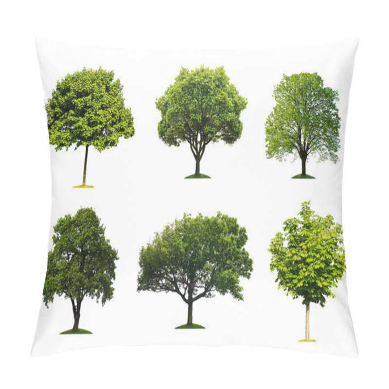 Personality  Collection of isolated summer tree pillow covers