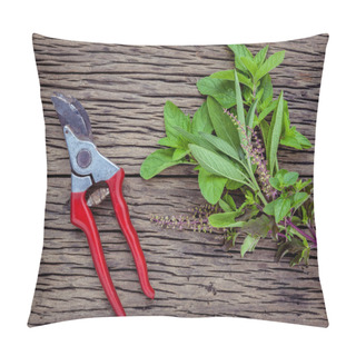 Personality  Branch Of Fresh Herbs From The Garden. Holy Basil Flower ,oregan Pillow Covers