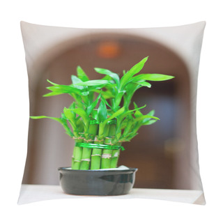 Personality  Lucky Bamboo Plant In Pot Pillow Covers