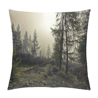 Personality  A Mystical Forest With Fog And Shining Behind Trees Pillow Covers