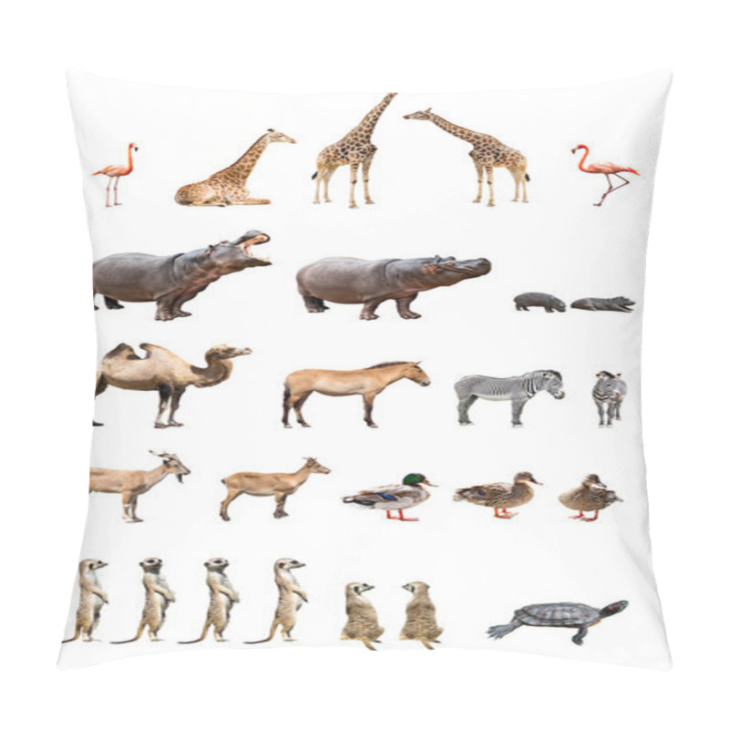 Personality  Zoo animals pillow covers