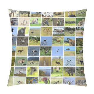 Personality  Collage Of African Animals Pillow Covers