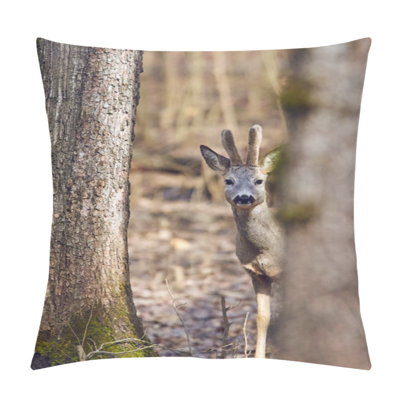 Personality  Young roe deer buck walking in spring forest in sunny day pillow covers