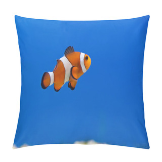 Personality  Clown Fish Pillow Covers