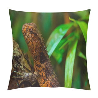 Personality  Chinese Crocodile Lizard Pillow Covers