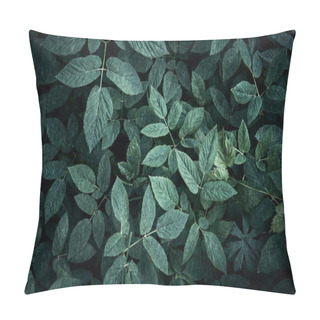 Personality  Trend Dark Green Background With Leaves. Plant In Shadow. Copyspace For Design Pillow Covers