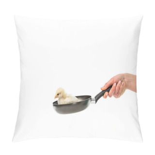 Personality  Partial View Of Woman Holding Frying Pan With Little Chick Isolated On White, Animal Eating Protest Concept Pillow Covers