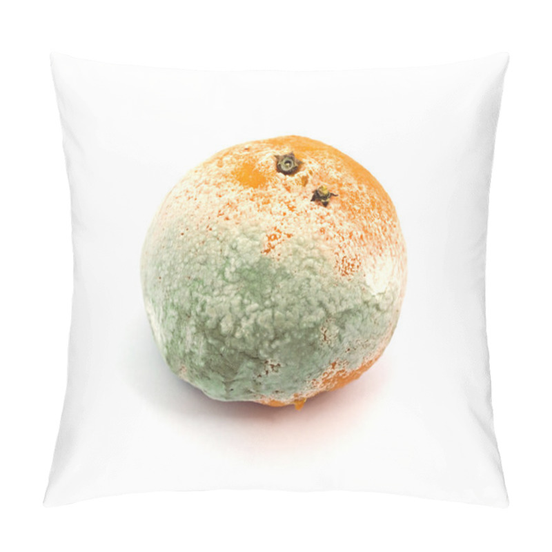 Personality  Mouldy Fruit Pillow Covers