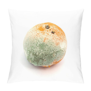 Personality  Mouldy Fruit Pillow Covers