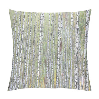 Personality  Beautiful Scene With Birches In Yellow Autumn Birch Forest In October Among Other Birches In Birch Grove Pillow Covers