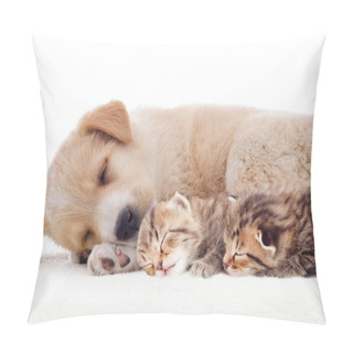 Personality  Kitten And Puppy Lying Pillow Covers