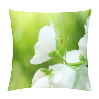 Personality  Green Spider On Jasmine Flower Pillow Covers
