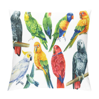 Personality  Set Of Birds, Parrots On An Isolated White Background, Watercolor Illustration, Pillow Covers