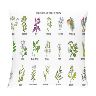 Personality  Hand Drawn Set Of Culinary Herbs And Spices Pillow Covers
