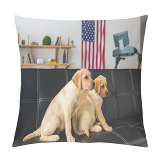 Personality  Side View Of Two Beige Puppies Sitting On Leather Couch Pillow Covers