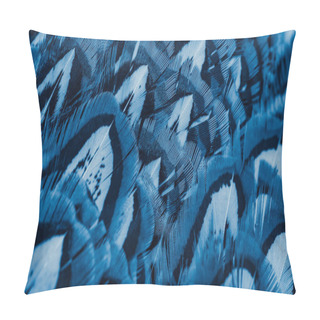 Personality  Blue Pheasant Feathers With Dark Stripes. Background Pillow Covers