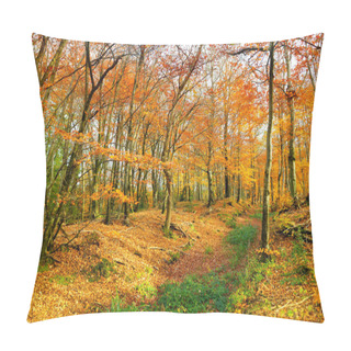 Personality  Golden Autumn Forest Pillow Covers