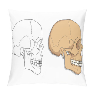 Personality  Medical Skull Bone Poster Pillow Covers