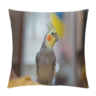 Personality  Beautiful Photo Of A Bird. Ornithology.Funny Parrot.Cockatiel Parrot.Home Pet Yellow Bird.Beautiful Feathers.Love For Animals.Cute Cockatiel.Home Pet Parrot.A Bird With A Crest.Natural Color.memes.parrot Sits On The Finger.playful Pet. Pillow Covers