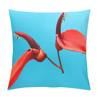 Personality  Cockspur Coral Tree Flower Pillow Covers