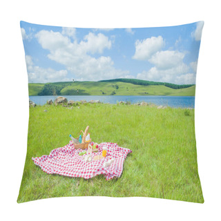 Personality  Great Concept Of Pic-nic, Pic-nic With Fruits And Juice On Green Lawn With Beautiful View Pillow Covers