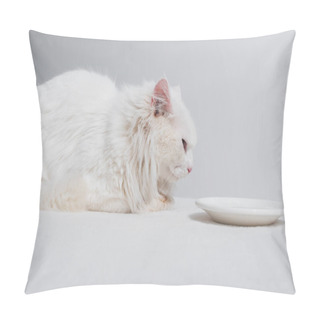 Personality  Domestic White Cat Lying Near Plate With Milk On Table Isolated On Grey Pillow Covers