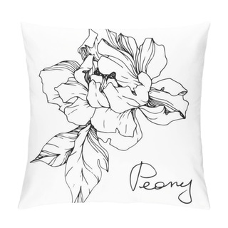 Personality  Vector Isolated Monochrome Peony Flower Sketch And Handwritten Lettering On White Background. Engraved Ink Art.  Pillow Covers