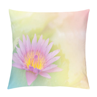Personality  Soft Sweet Pink Lotus Flower With Pastel Color For Background  Pillow Covers