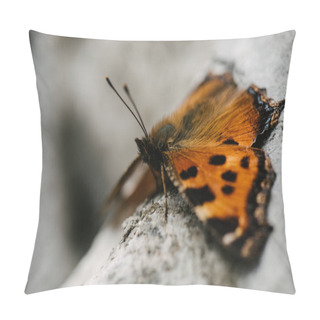 Personality  Close-up Shot Of Beautiful Butterfly Sitting On Stone Pillow Covers