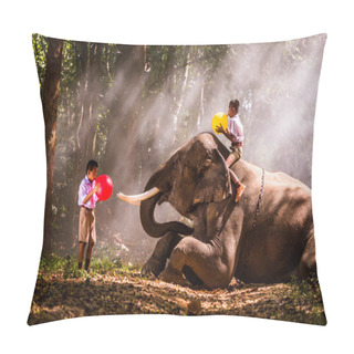 Personality  Elephant And School Boy In Thailand Pillow Covers