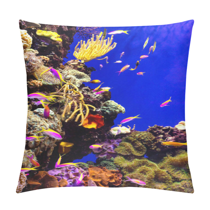 Personality  Colorful coral reef with tropical fishes pillow covers