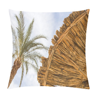 Personality  Tropical Pillow Covers