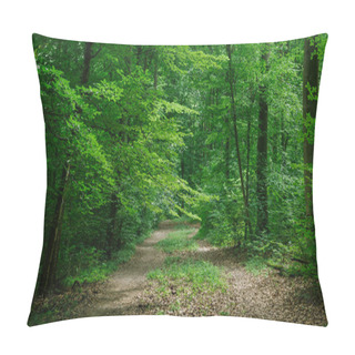 Personality  Path In Green Beautiful Forest In Wurzburg, Germany Pillow Covers