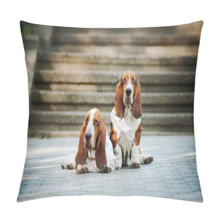 Personality  Two Basset Hound Pillow Covers