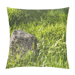 Personality  Full Frame Shot Of Boulder Lying In Green Grass Under Sunlight Pillow Covers