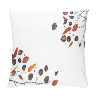 Personality  Dried Autumn Leaves And Chestnuts Pillow Covers