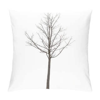 Personality  Naked Tree On White Pillow Covers