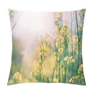 Personality  Yellow Flower And Meadow Grass In Spring Pillow Covers